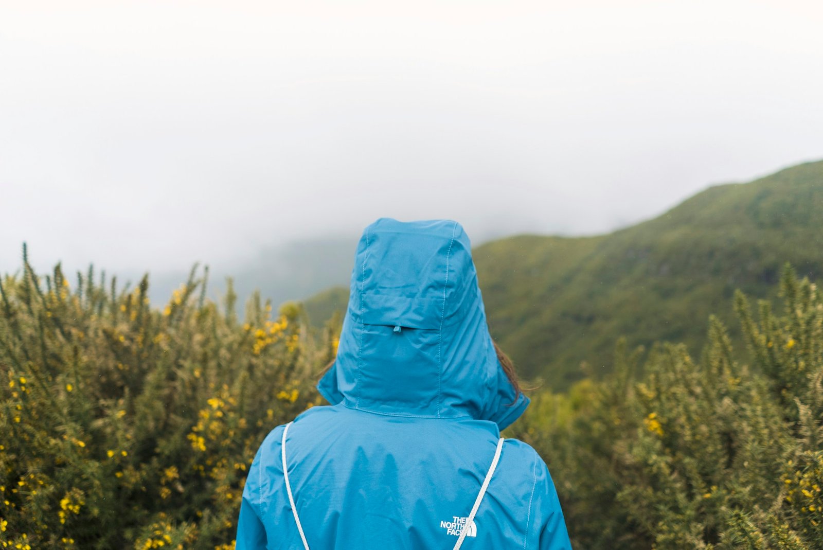 A hiker in a hooded waterproof shell on a wet trail.