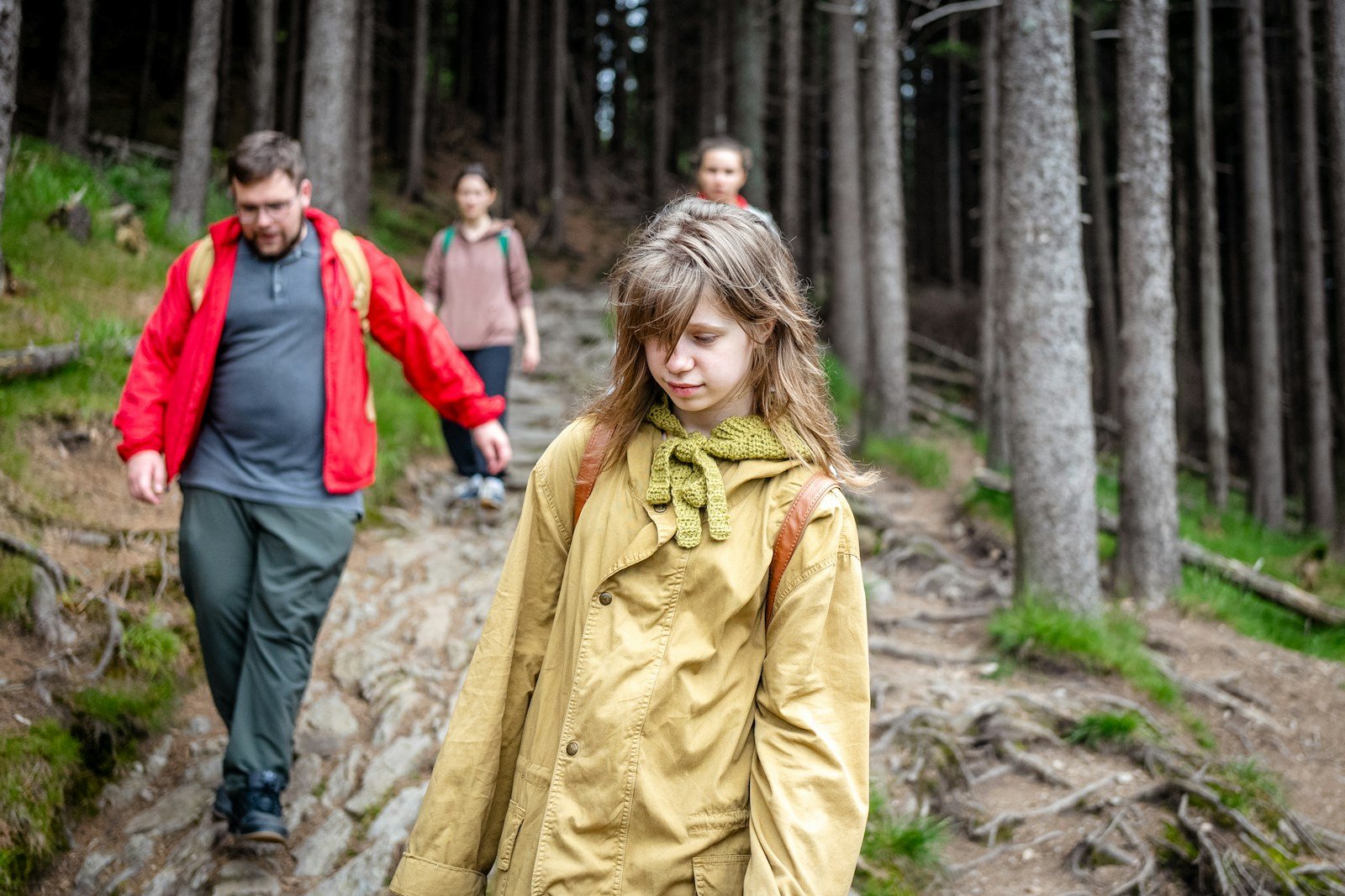 Family hiking on a forest trail