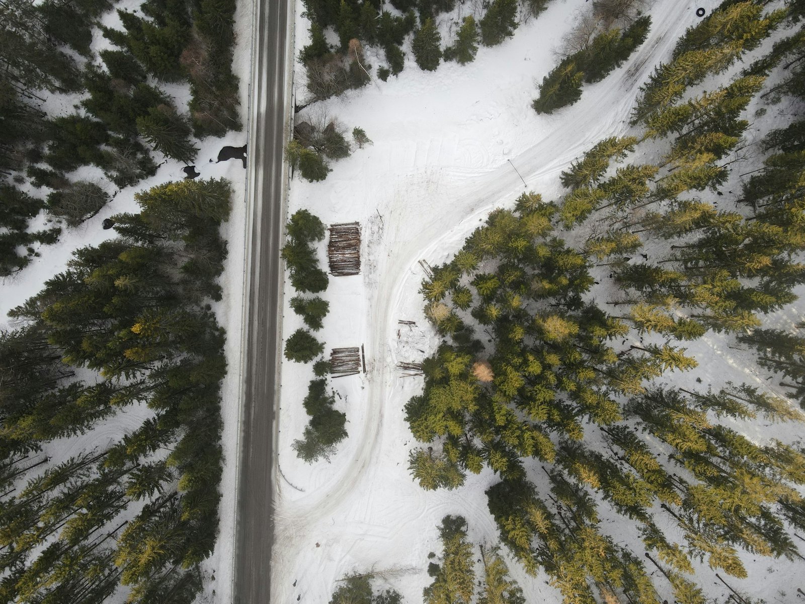 an aerial view of a snow covered road and trees