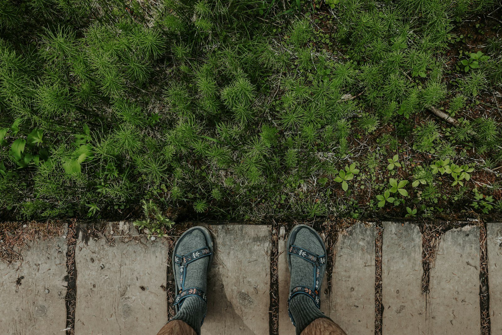 Hiking boots crossing a wet trail.
