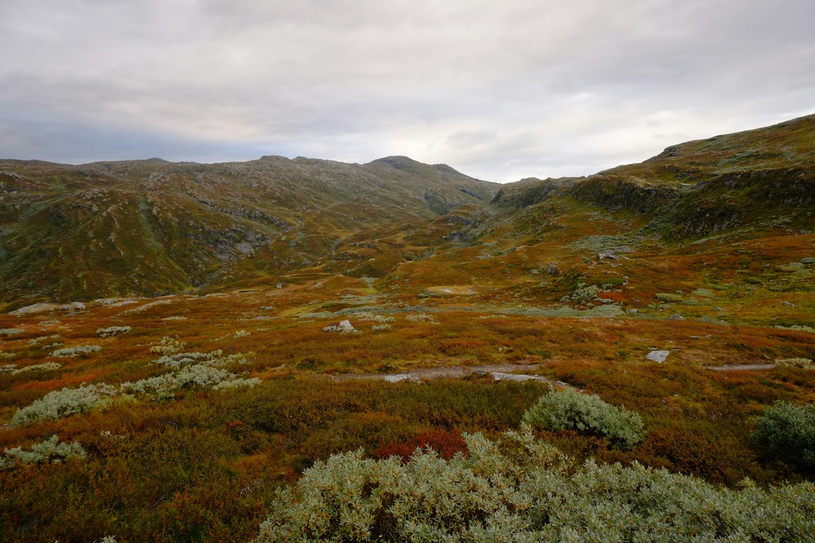 Norwegian highland plateau with low mountains.