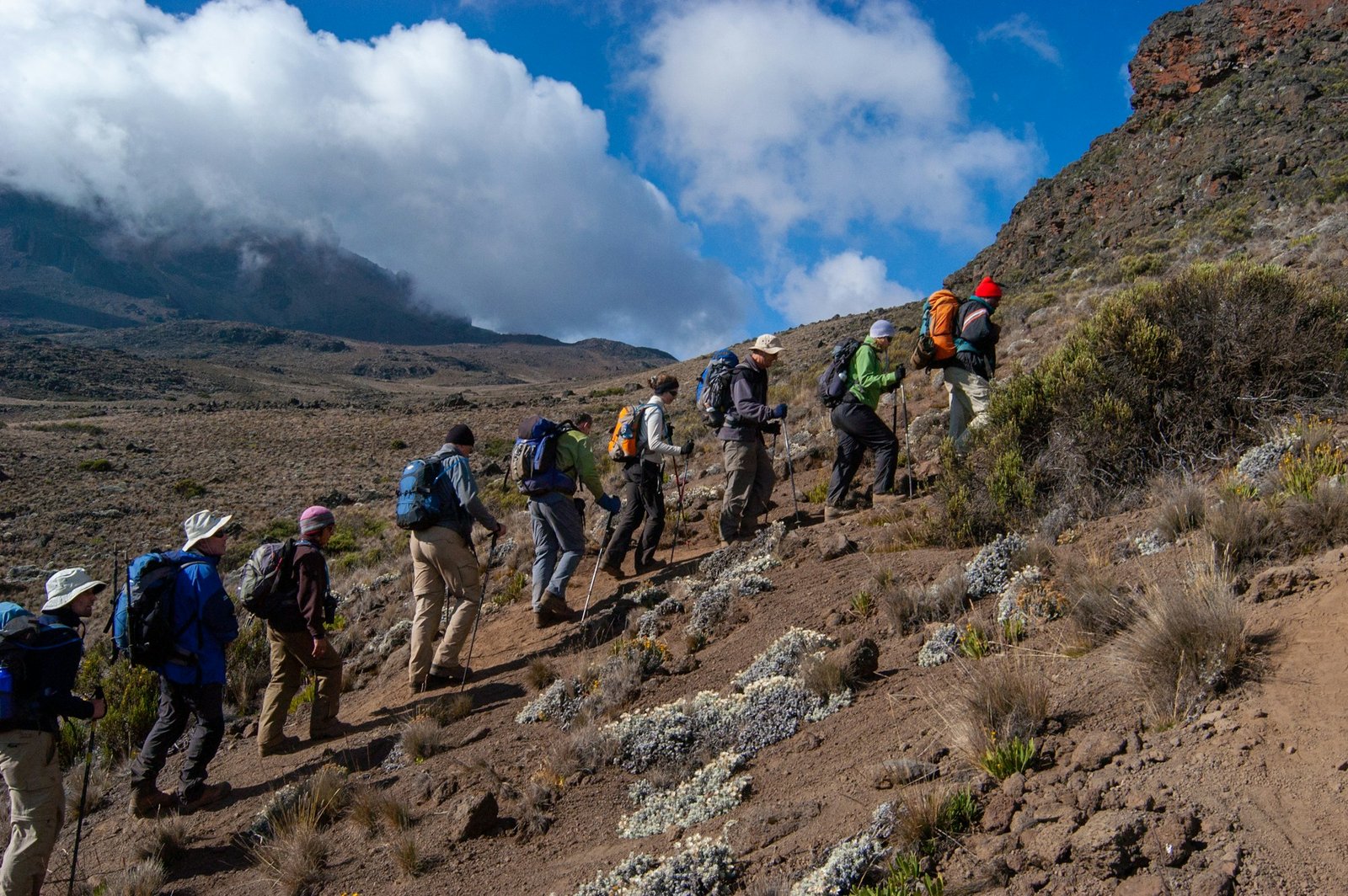 Line of hikers walking uphill on Route Rongai towards Kilimanjaro's summit.