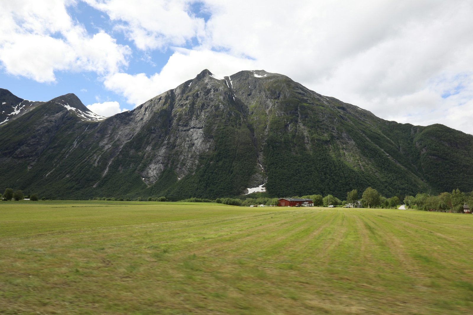 A lush meadow stretches towards a mountain.