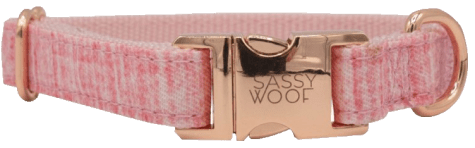 Screenshot_2 3-min Dolce Rose' Dog Collar