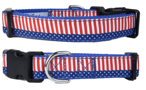 4th of July Star & Stripes Dog Collar