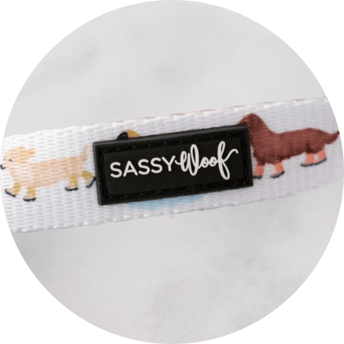 Mask Gkkkroup-min Rainy Dachshund' Dog Fabric Leash