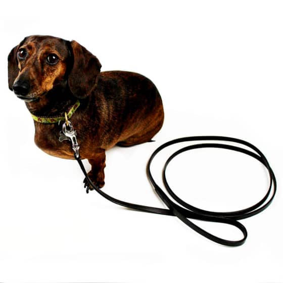 Small Leather Dog Leash