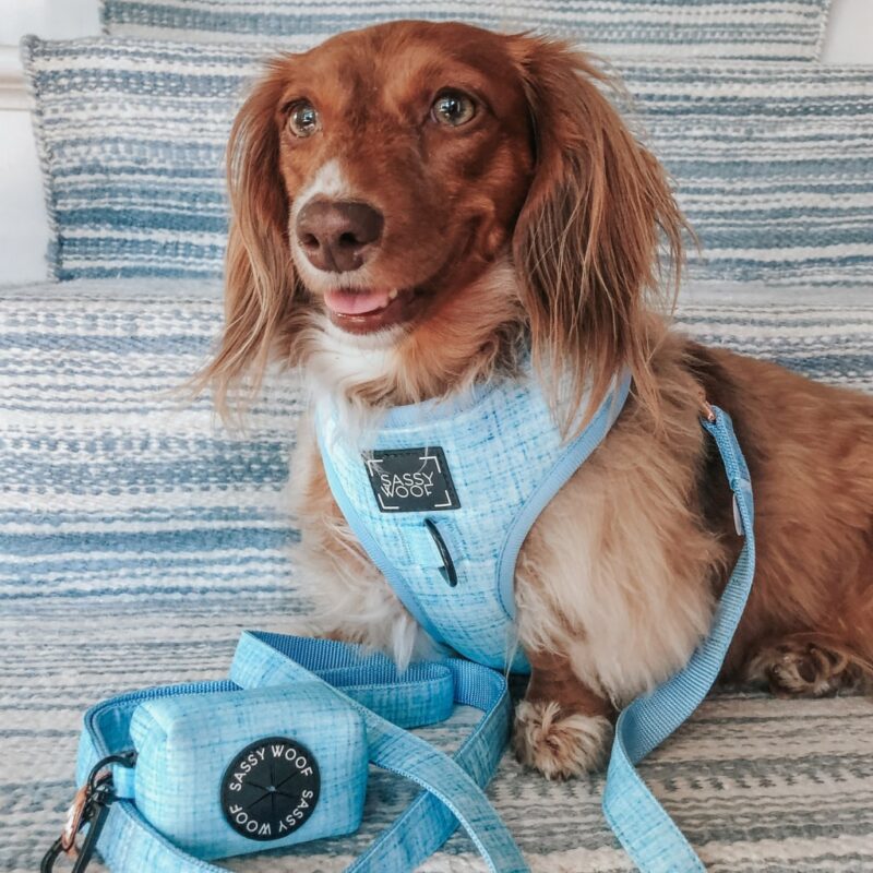 Blumond’ Dog Waste Bag Holder Explore popular Camping & Hiking categories https://mondohiking.com 5