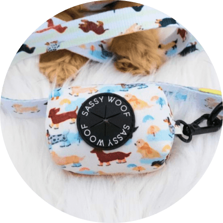 Mask jmnGroup-min Rainy Dachshund' Dog Waste Bag Holder