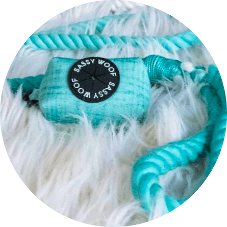 Maspoihugyk Group Wag Your Teal Dog Waste Bag Holder