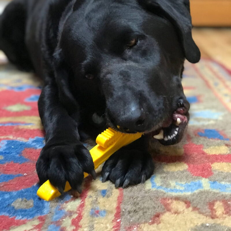 Nylon Pipe Wrench – Dog Chew Toy Explore popular Camping & Hiking categories https://mondohiking.com 3