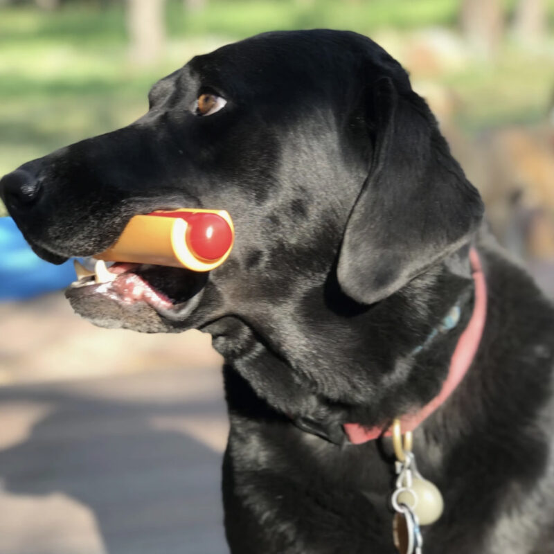 Nylon Hot Dog Chew Toy Explore popular Camping & Hiking categories https://mondohiking.com 4