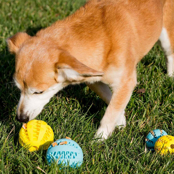 Dog Toy Feeder Ball Large 