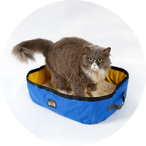 Portable Cat Litter Box