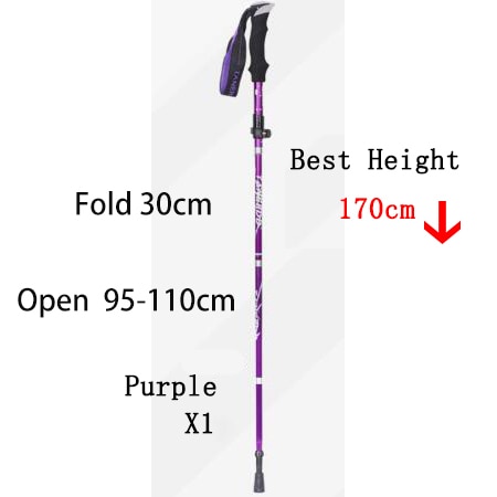 Purple 30cm