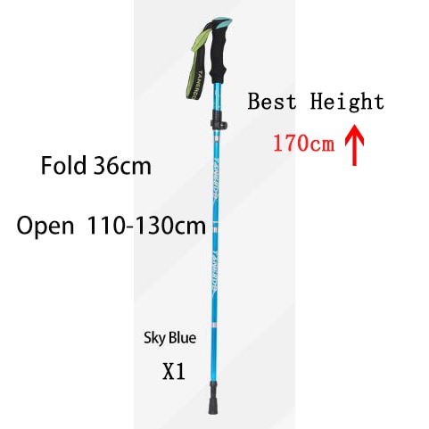 SkyBlue 36cm